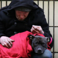 What are the greatest needs of the homeless?