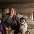 Where homeless canines stay?