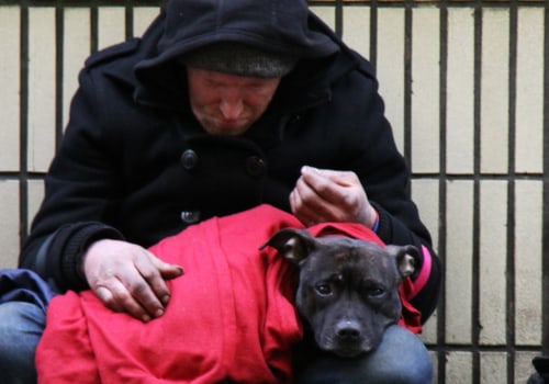 What are the greatest needs of the homeless?
